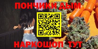 индика Лесосибирск