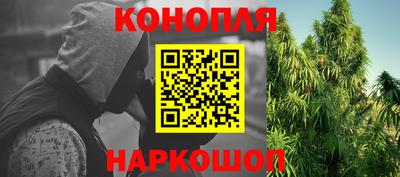 индика Лесосибирск