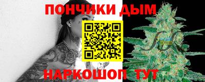 индика Лесосибирск