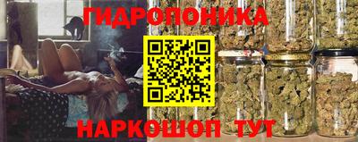 индика Лесосибирск