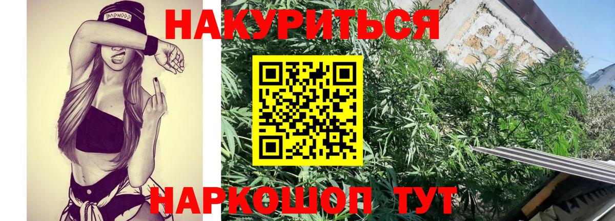 Бошки марихуана ГИДРОПОН  Вход с VPN  Канабис OG Kush  Конопля MAZAR  Новомосковск 